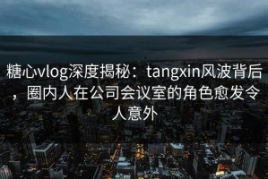 糖心vlog深度揭秘：tangxin风波背后，圈内人在公司会议室的角色愈发令人意外