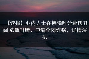 【速报】业内人士在拂晓时分遭遇丑闻 欲望升腾，电鸽全网炸锅，详情深扒