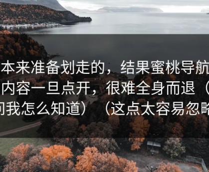 我本来准备划走的，结果蜜桃导航这类内容一旦点开，很难全身而退（别问我怎么知道）（这点太容易忽略）