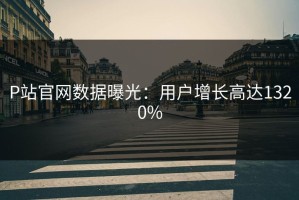P站官网数据曝光：用户增长高达1320%