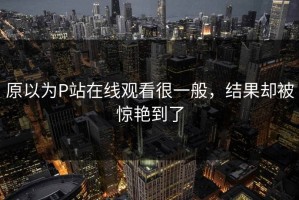 原以为P站在线观看很一般，结果却被惊艳到了