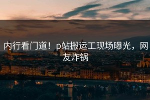 内行看门道！p站搬运工现场曝光，网友炸锅