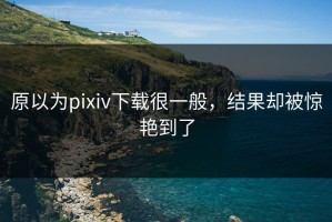 原以为pixiv下载很一般，结果却被惊艳到了