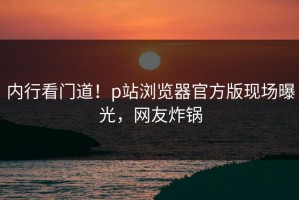 内行看门道！p站浏览器官方版现场曝光，网友炸锅