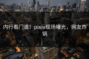 内行看门道！pixiv现场曝光，网友炸锅