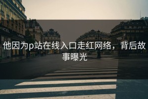 他因为p站在线入口走红网络，背后故事曝光