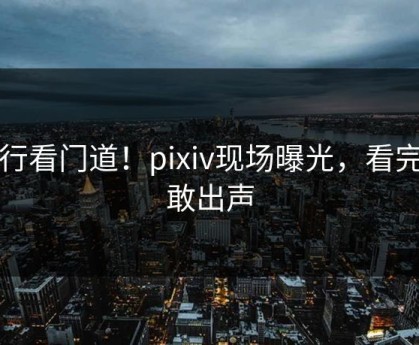 内行看门道！pixiv现场曝光，看完不敢出声