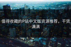 值得收藏的P站中文版资源推荐，干货满满