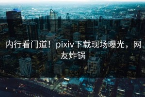 内行看门道！pixiv下载现场曝光，网友炸锅