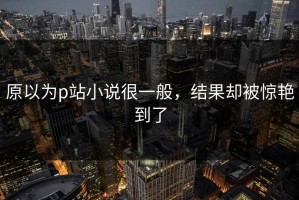 原以为p站小说很一般，结果却被惊艳到了