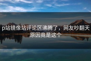 p站镜像站评论区沸腾了，网友吵翻天原因竟是这个