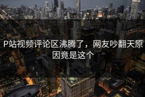 P站视频评论区沸腾了，网友吵翻天原因竟是这个
