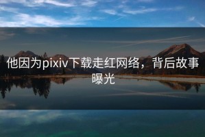 他因为pixiv下载走红网络，背后故事曝光