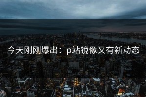 今天刚刚爆出：p站镜像又有新动态