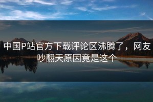 中国P站官方下载评论区沸腾了，网友吵翻天原因竟是这个