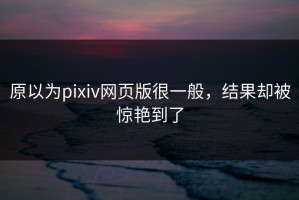 原以为pixiv网页版很一般，结果却被惊艳到了