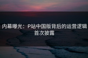 内幕曝光：P站中国版背后的运营逻辑首次披露