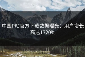 中国P站官方下载数据曝光：用户增长高达1320%