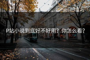 P站小说到底好不好用？你怎么看？