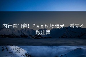 内行看门道！Pivixi现场曝光，看完不敢出声