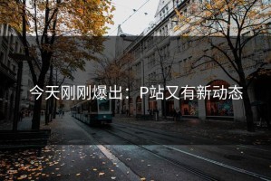 今天刚刚爆出：P站又有新动态