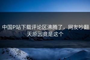 中国P站下载评论区沸腾了，网友吵翻天原因竟是这个