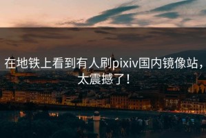 在地铁上看到有人刷pixiv国内镜像站，太震撼了！