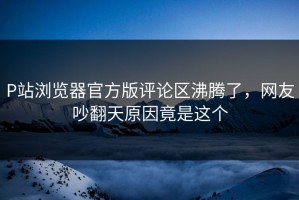 P站浏览器官方版评论区沸腾了，网友吵翻天原因竟是这个