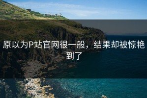原以为P站官网很一般，结果却被惊艳到了