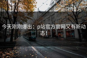 今天刚刚爆出：p站官方官网又有新动态！