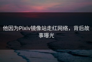 他因为Pixiv镜像站走红网络，背后故事曝光