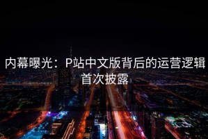 内幕曝光：P站中文版背后的运营逻辑首次披露