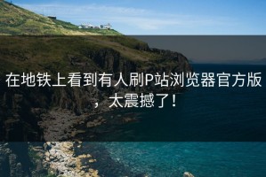在地铁上看到有人刷P站浏览器官方版，太震撼了！