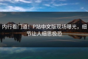 内行看门道！P站中文版现场曝光，细节让人细思极恐