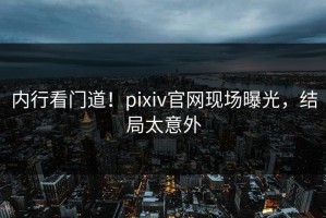内行看门道！pixiv官网现场曝光，结局太意外