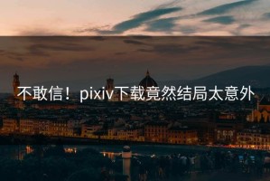 不敢信！pixiv下载竟然结局太意外