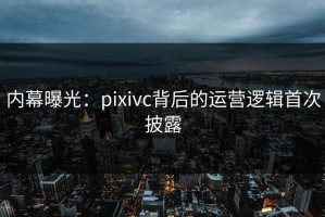 内幕曝光：pixivc背后的运营逻辑首次披露