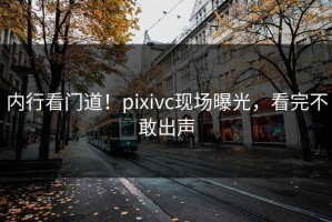 内行看门道！pixivc现场曝光，看完不敢出声