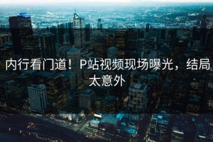 内行看门道！P站视频现场曝光，结局太意外
