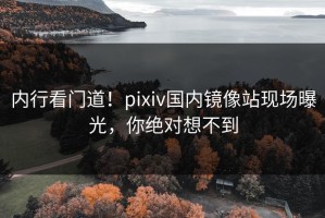 内行看门道！pixiv国内镜像站现场曝光，你绝对想不到