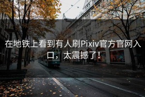 在地铁上看到有人刷Pixiv官方官网入口，太震撼了！
