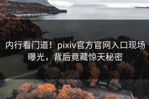 内行看门道！pixiv官方官网入口现场曝光，背后竟藏惊天秘密