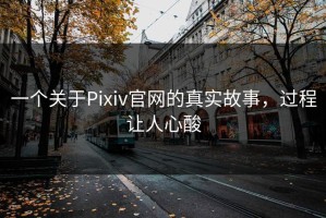 一个关于Pixiv官网的真实故事，过程让人心酸