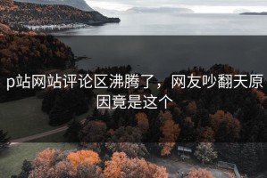 p站网站评论区沸腾了，网友吵翻天原因竟是这个