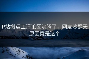 P站搬运工评论区沸腾了，网友吵翻天原因竟是这个