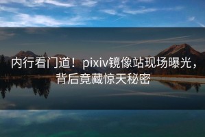 内行看门道！pixiv镜像站现场曝光，背后竟藏惊天秘密