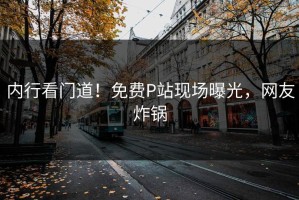 内行看门道！免费P站现场曝光，网友炸锅