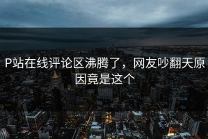 P站在线评论区沸腾了，网友吵翻天原因竟是这个