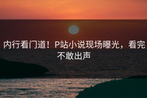 内行看门道！P站小说现场曝光，看完不敢出声