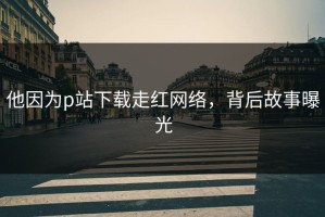 他因为p站下载走红网络，背后故事曝光